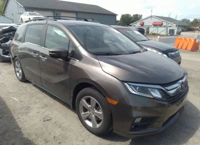 HONDA ODYSSEY 2020 5fnrl6h51lb036528