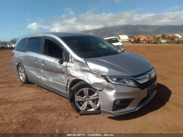 HONDA ODYSSEY 2020 5fnrl6h51lb044452