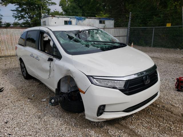 HONDA ODYSSEY EX 2021 5fnrl6h51mb038720