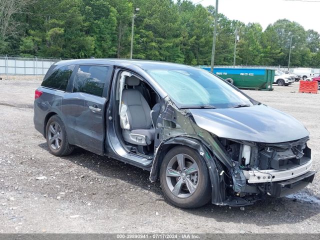 HONDA ODYSSEY 2023 5fnrl6h51pb054758