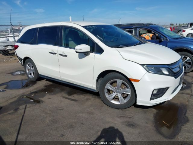 HONDA ODYSSEY 2019 5fnrl6h52kb098230