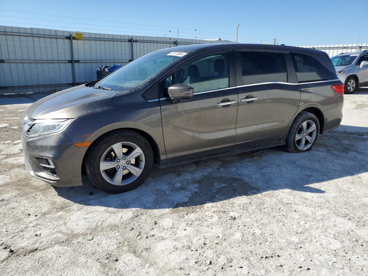 HONDA ODYSSEY 2019 5fnrl6h52kb104253