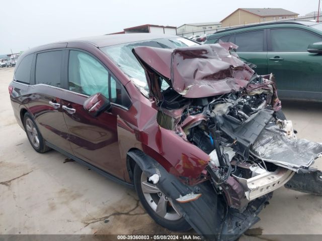 HONDA ODYSSEY 2019 5fnrl6h53kb090976