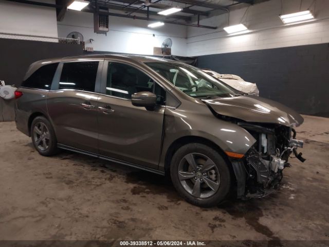 HONDA ODYSSEY 2021 5fnrl6h53mb012507