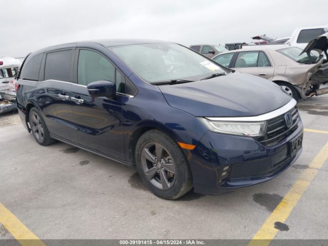 HONDA ODYSSEY 2021 5fnrl6h53mb043868