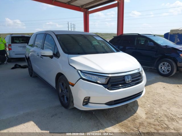 HONDA ODYSSEY 2021 5fnrl6h53mb044485