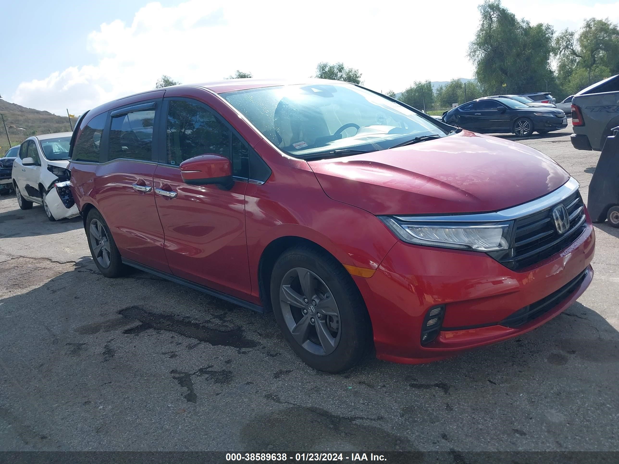 HONDA ODYSSEY 2022 5fnrl6h53nb035061