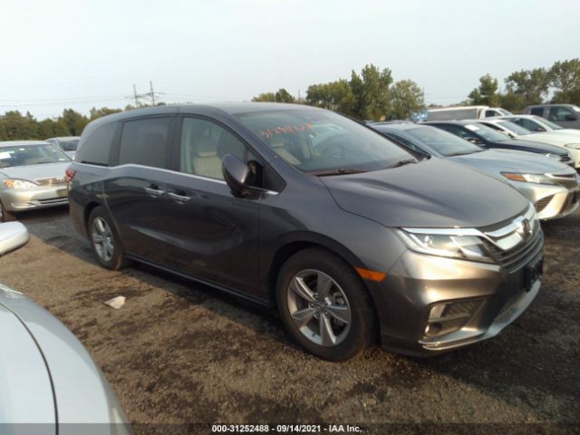 HONDA ODYSSEY 2019 5fnrl6h54kb062541