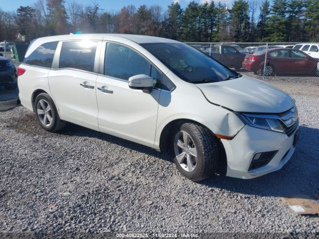 HONDA ODYSSEY 2019 5fnrl6h54kb121300