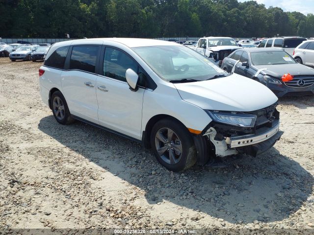 HONDA ODYSSEY 2022 5fnrl6h54nb033447