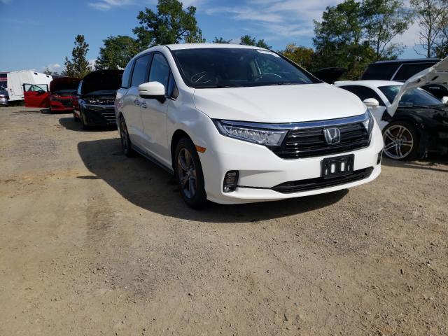 HONDA ODYSSEY EX 2022 5fnrl6h54nb036011