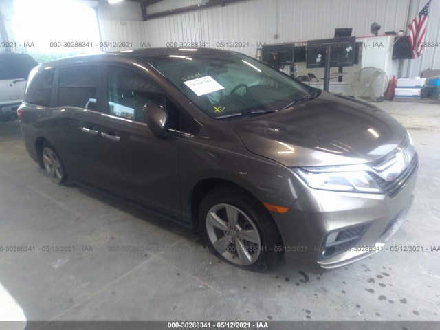 HONDA ODYSSEY 2019 5fnrl6h55kb027121