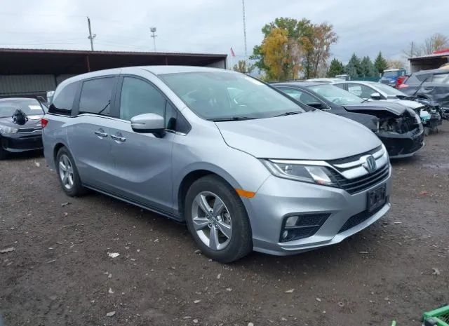 HONDA ODYSSEY 2019 5fnrl6h55kb060152