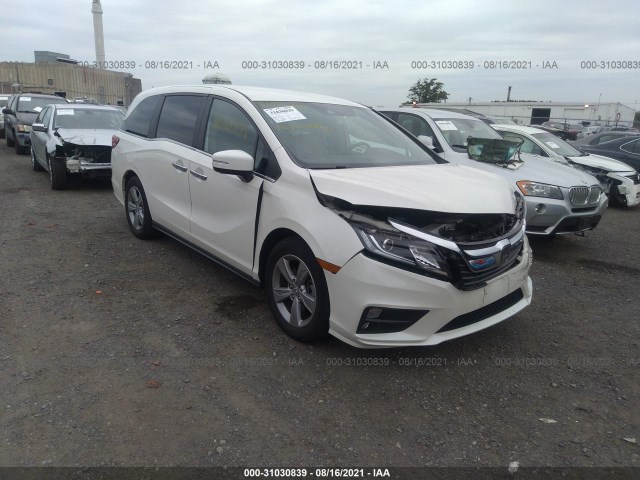 HONDA ODYSSEY 2019 5fnrl6h55kb087724