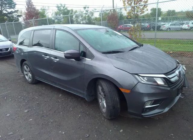 HONDA ODYSSEY 2019 5fnrl6h55kb119491