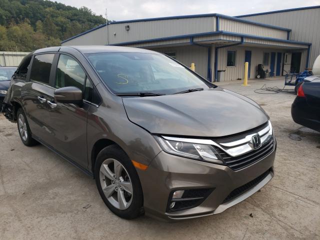 HONDA ODYSSEY EX 2019 5fnrl6h56kb049807