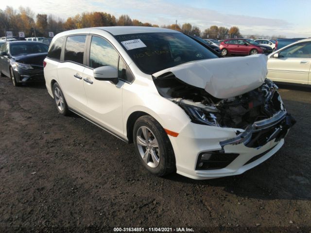 HONDA ODYSSEY 2019 5fnrl6h56kb084993