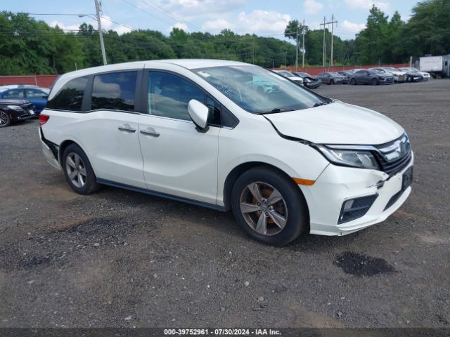 HONDA ODYSSEY 2019 5fnrl6h56kb098232