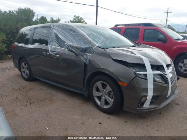 HONDA ODYSSEY 2019 5fnrl6h56kb123601