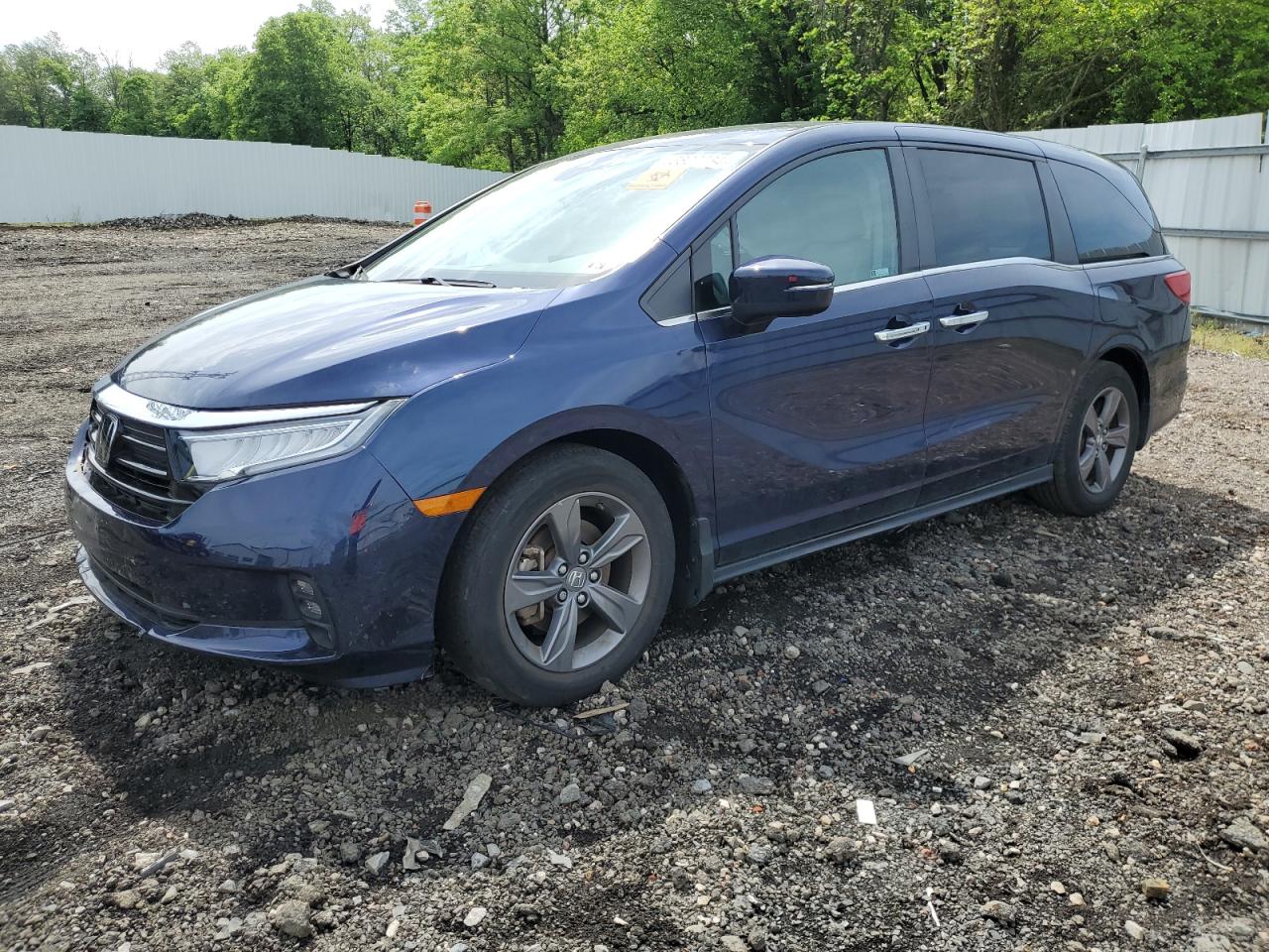 HONDA ODYSSEY 2022 5fnrl6h56nb007271