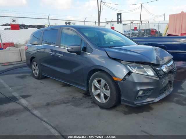 HONDA ODYSSEY 2019 5fnrl6h57kb007033