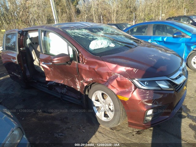 HONDA ODYSSEY 2019 5fnrl6h57kb082606