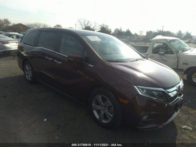 HONDA ODYSSEY 2020 5fnrl6h57lb022746