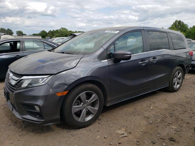 HONDA ALL MODELS 2020 5fnrl6h57lb051079