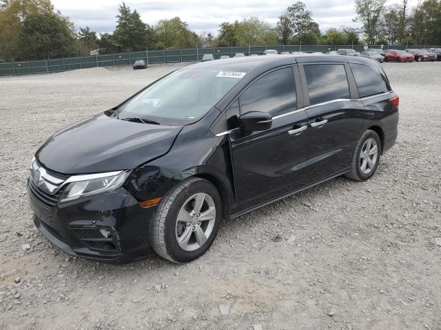 HONDA ODYSSEY EX 2019 5fnrl6h58kb015223