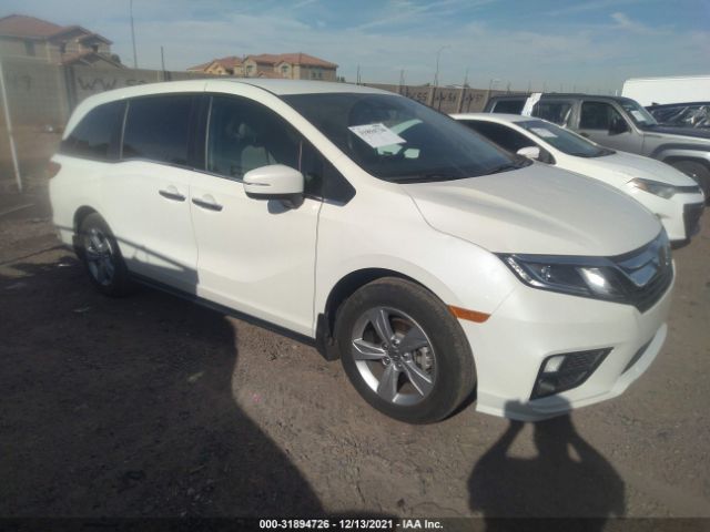 HONDA ODYSSEY 2019 5fnrl6h58kb065863