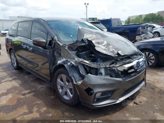 HONDA ODYSSEY 2019 5fnrl6h59kb076967