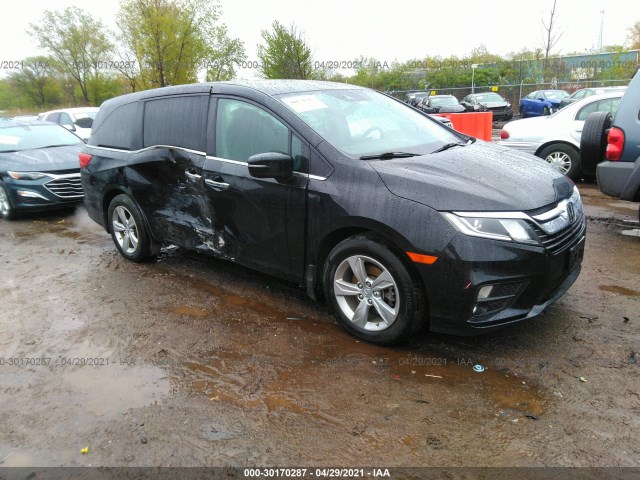 HONDA ODYSSEY 2019 5fnrl6h59kb080730