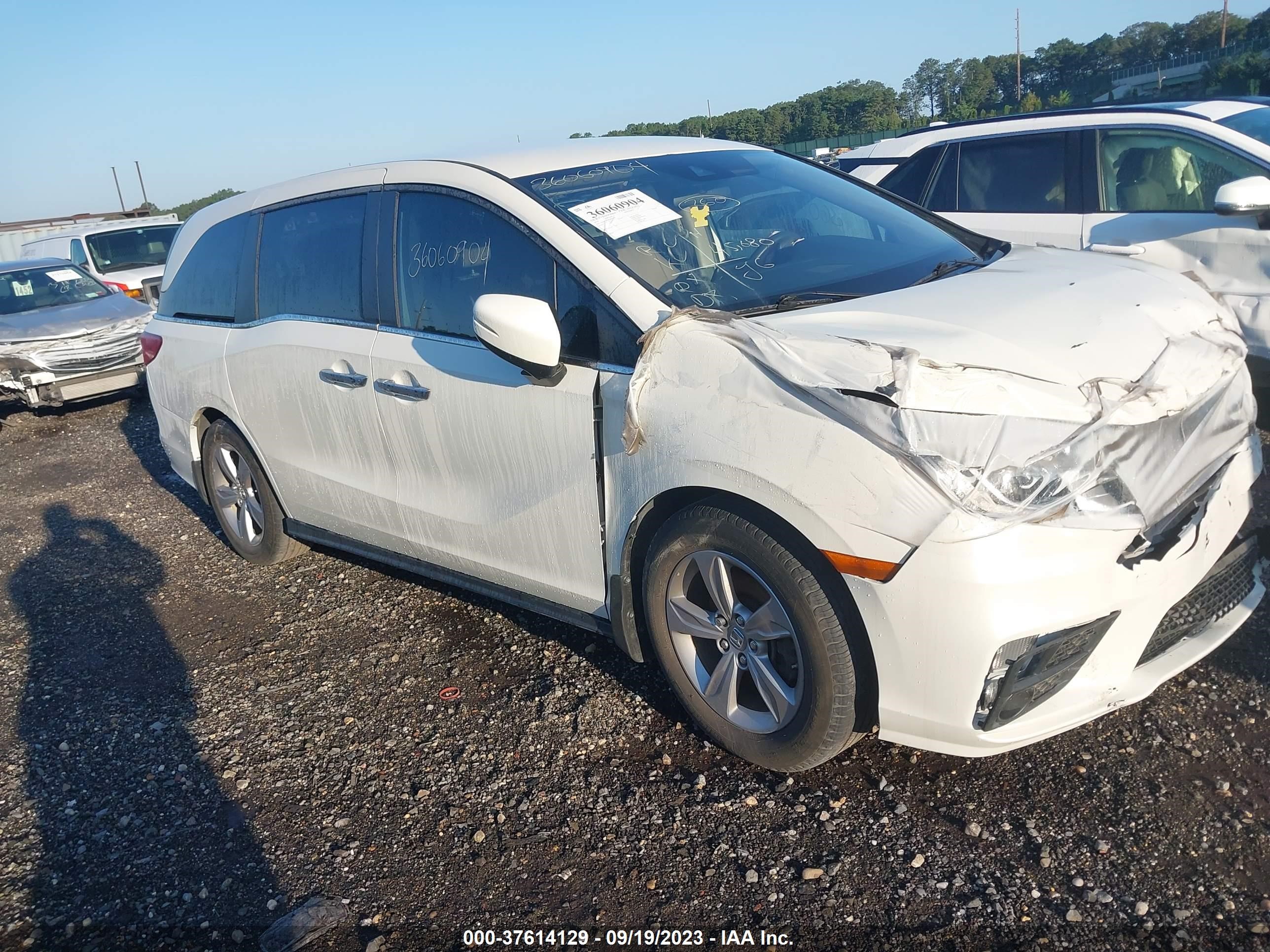 HONDA ODYSSEY 2019 5fnrl6h59kb094384