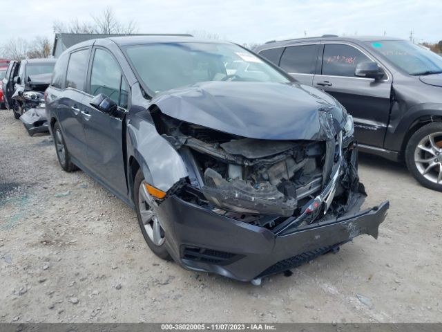 HONDA ODYSSEY 2019 5fnrl6h59kb135855