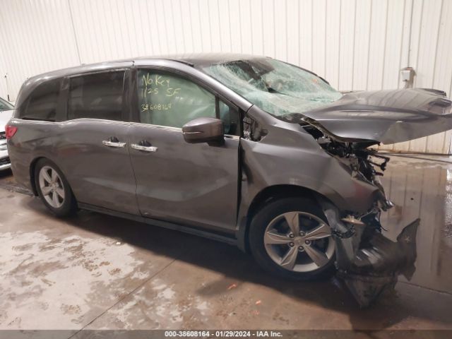 HONDA ODYSSEY 2018 5fnrl6h5xjb075891