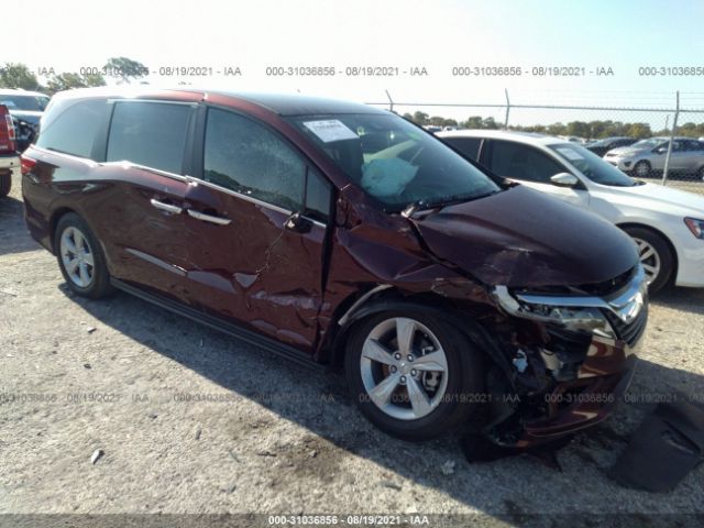 HONDA ODYSSEY 2019 5fnrl6h5xkb107384