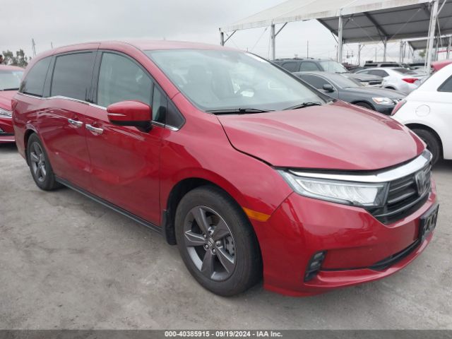 HONDA ODYSSEY 2022 5fnrl6h5xnb036613