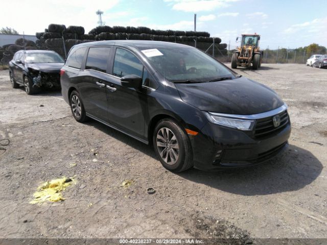 HONDA ODYSSEY 2024 5fnrl6h60rb047540