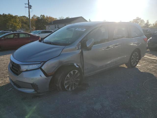 HONDA ODYSSEY EX 2024 5fnrl6h60rb061521