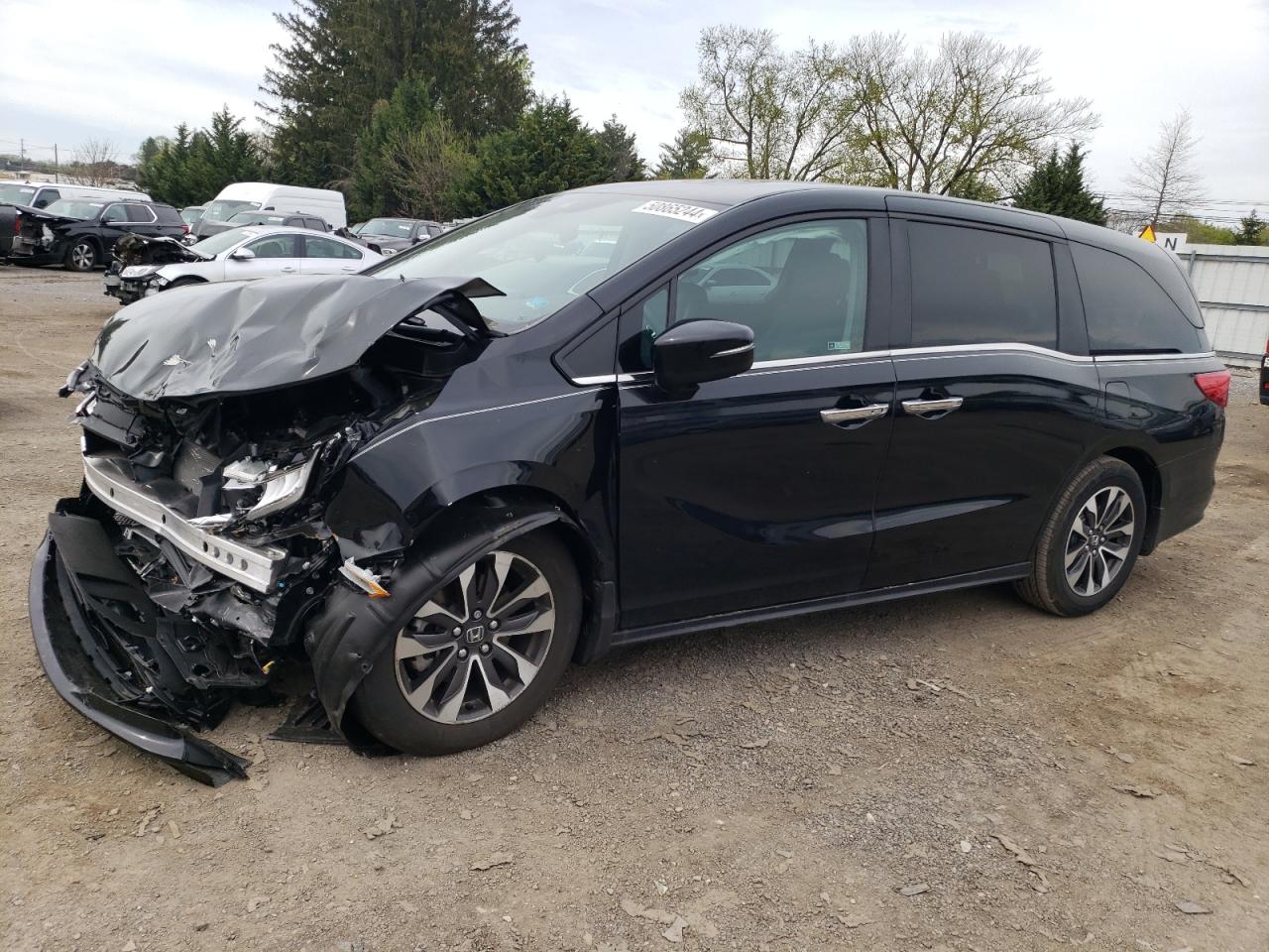 HONDA ODYSSEY 2023 5fnrl6h61pb080298