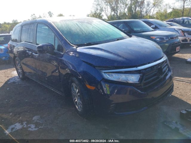 HONDA ODYSSEY 2023 5fnrl6h62pb028064