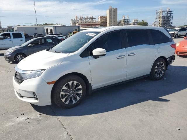 HONDA ODYSSEY EX 2023 5fnrl6h62pb044331