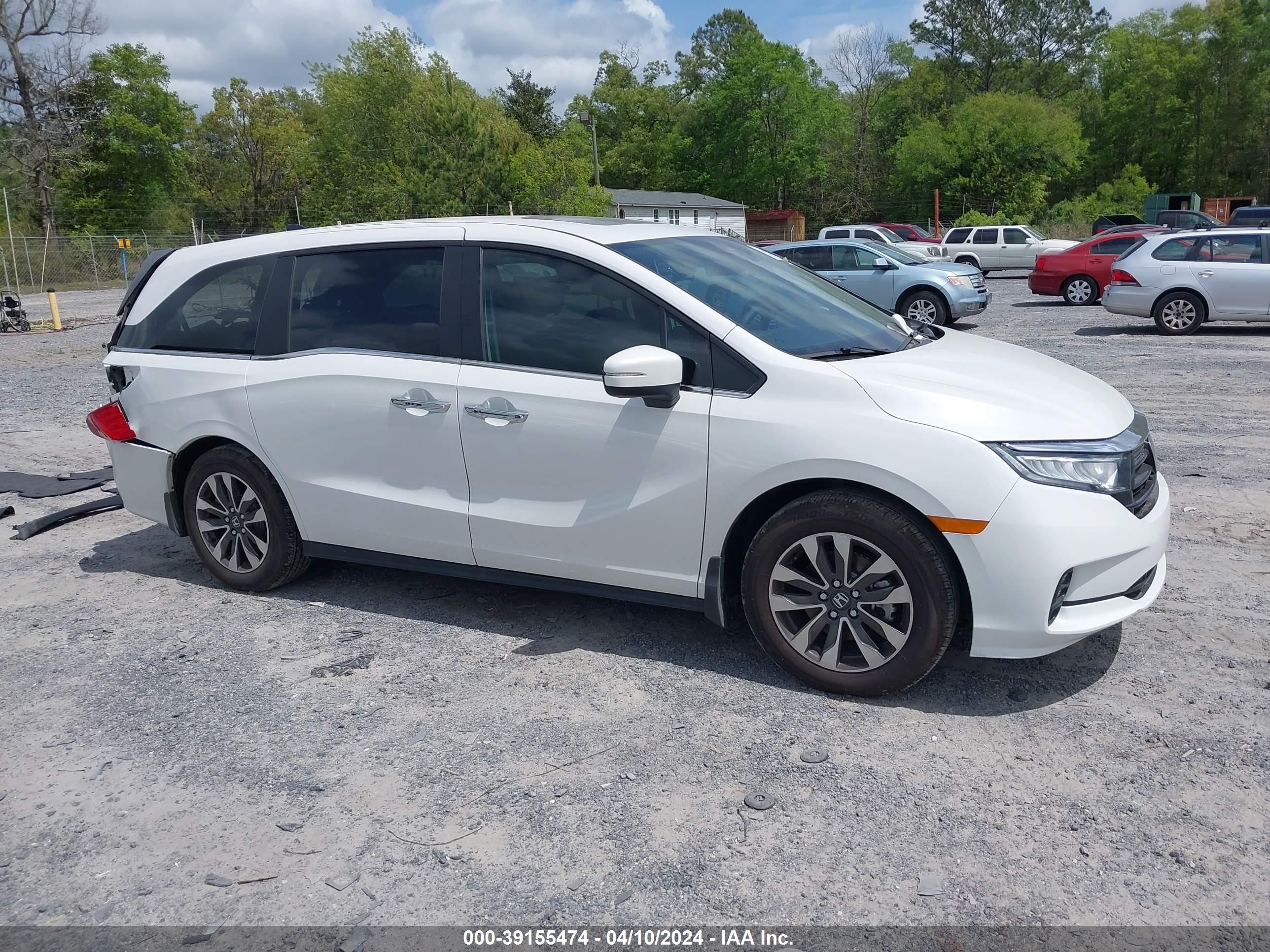 HONDA ODYSSEY 2024 5fnrl6h62rb019268