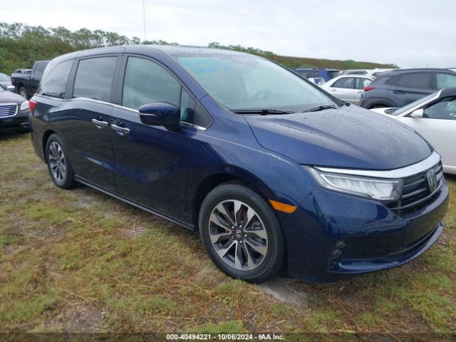 HONDA ODYSSEY 2024 5fnrl6h63rb015987