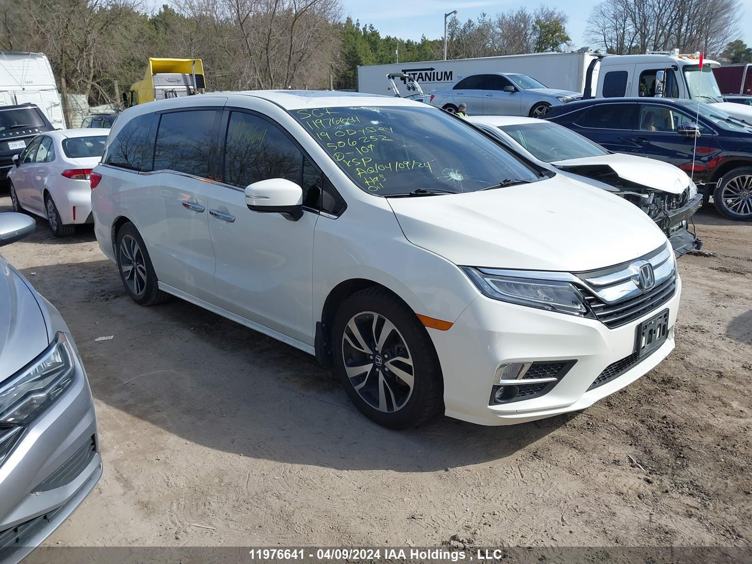 HONDA ODYSSEY 2019 5fnrl6h64kb506252