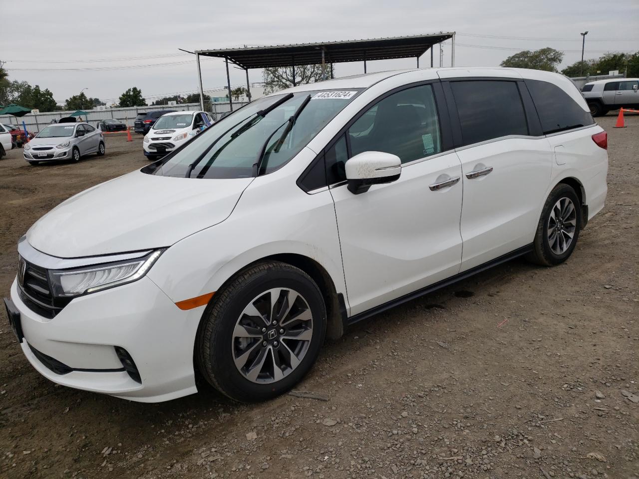 HONDA ODYSSEY 2023 5fnrl6h64pb036621