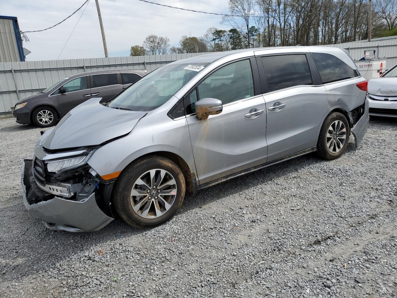 HONDA ODYSSEY 2024 5fnrl6h64rb005565