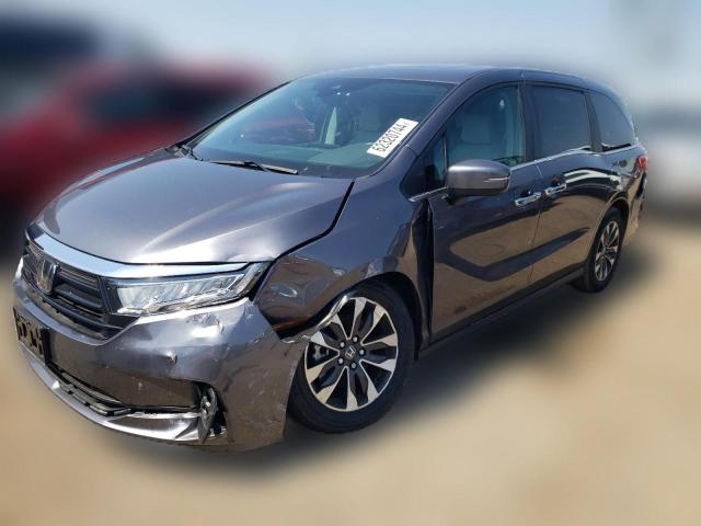 HONDA ODYSSEY EX 2024 5fnrl6h64rb044222