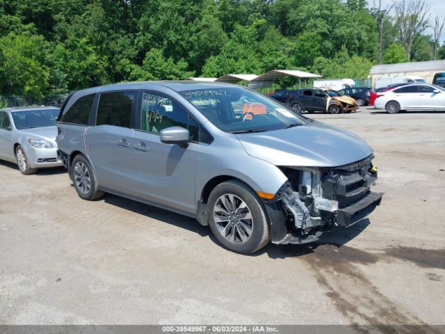 HONDA ODYSSEY 2023 5fnrl6h65pb064332