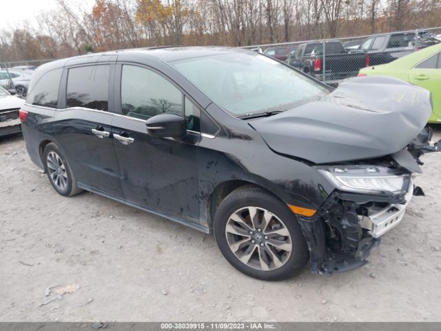 HONDA ODYSSEY 2023 5fnrl6h66pb006634